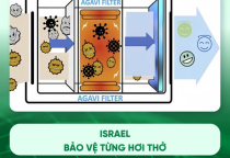 MÀNG LỌC MEDIA FILTER AGAVI - BẢO VỆ SỨC KHOẺ TOÀN DIỆN